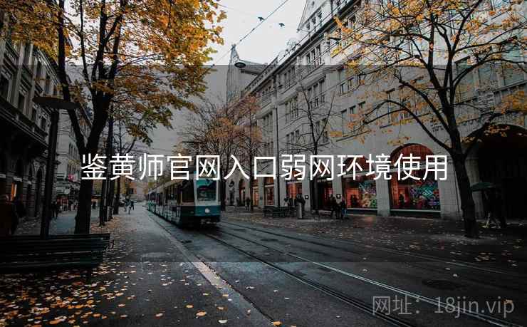 鉴黄师官网入口弱网环境使用