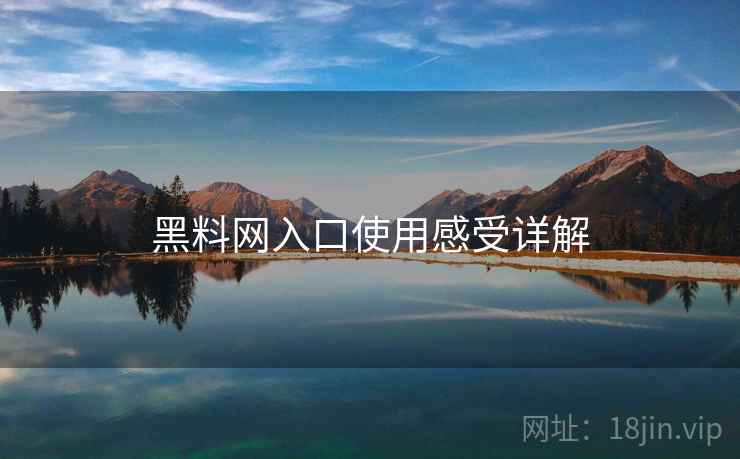 黑料网入口使用感受详解