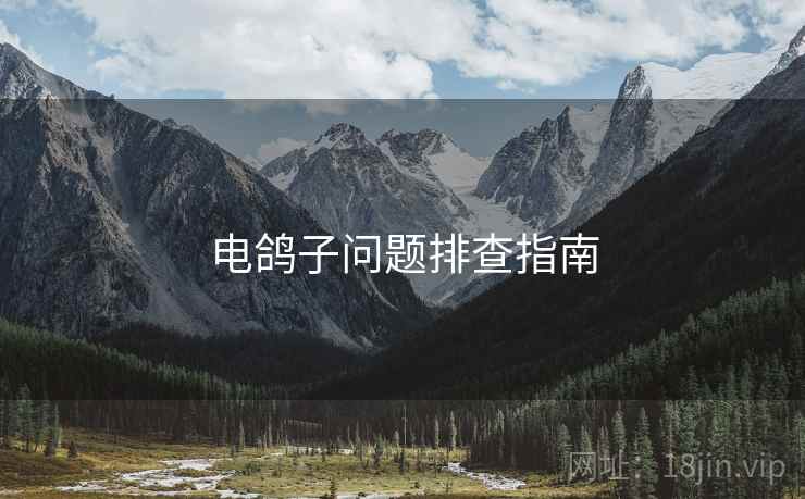 电鸽子问题排查指南