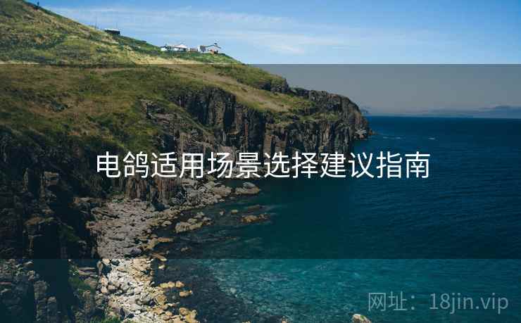 电鸽适用场景选择建议指南