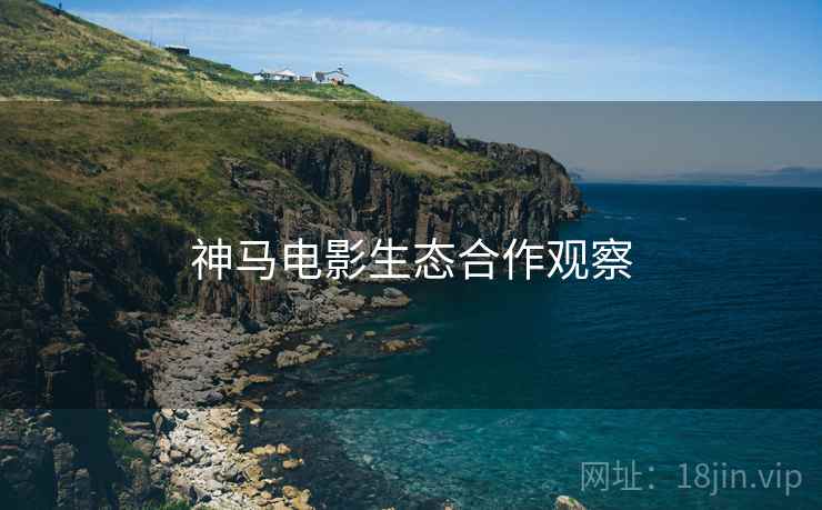 神马电影生态合作观察