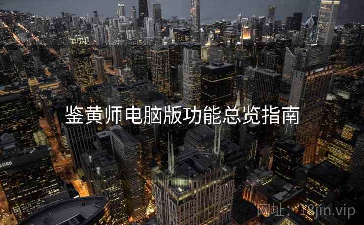 鉴黄师电脑版功能总览指南