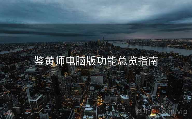鉴黄师电脑版功能总览指南