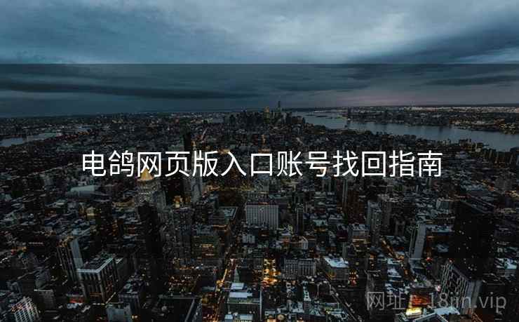 电鸽网页版入口账号找回指南