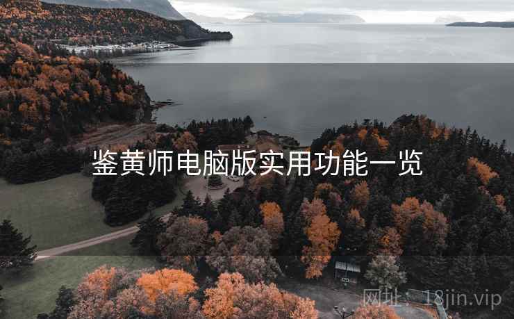 鉴黄师电脑版实用功能一览