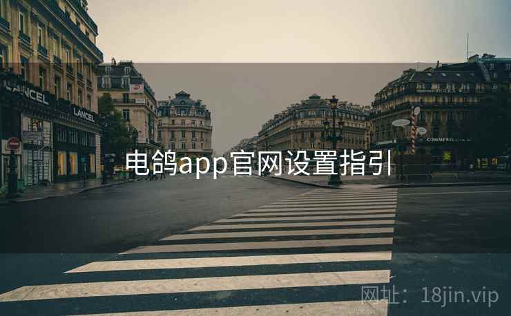 电鸽app官网设置指引