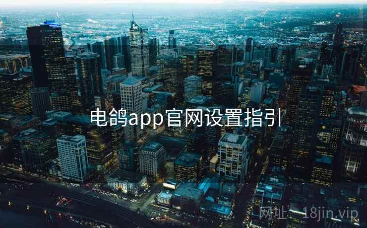 电鸽app官网设置指引