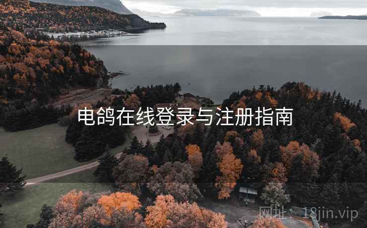 电鸽在线登录与注册指南