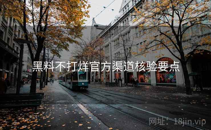 黑料不打烊官方渠道核验要点