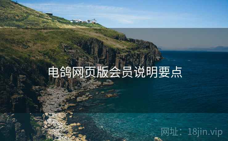 电鸽网页版会员说明要点