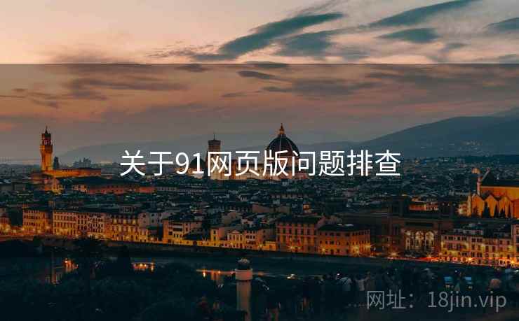 关于91网页版问题排查