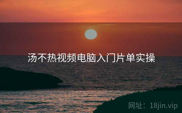 汤不热视频电脑入门片单实操