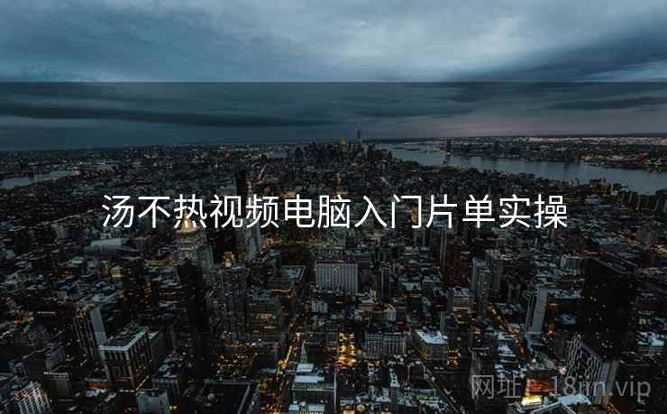 汤不热视频电脑入门片单实操