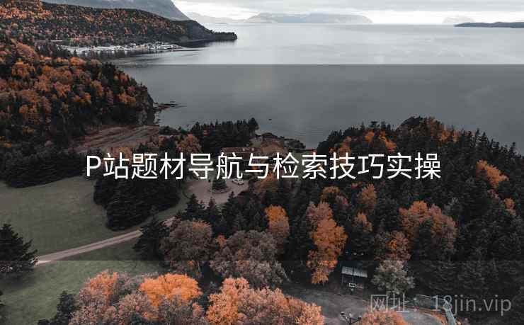 P站题材导航与检索技巧实操