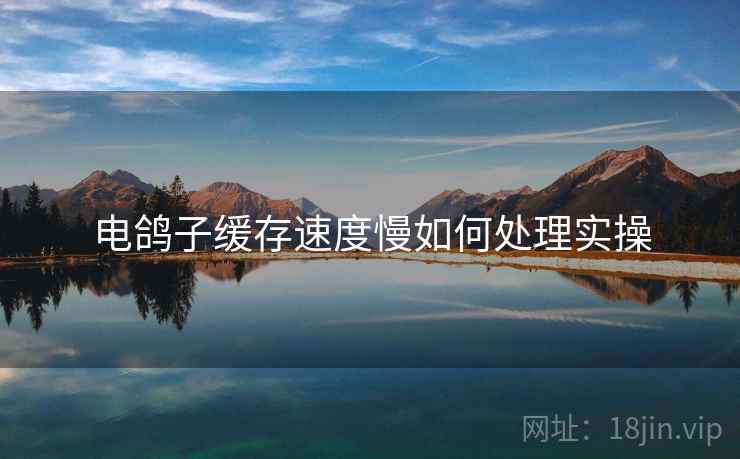 电鸽子缓存速度慢如何处理实操