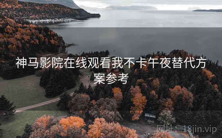 神马影院在线观看我不卡午夜替代方案参考