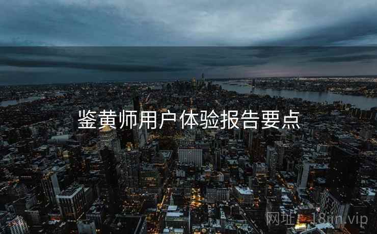 鉴黄师用户体验报告要点