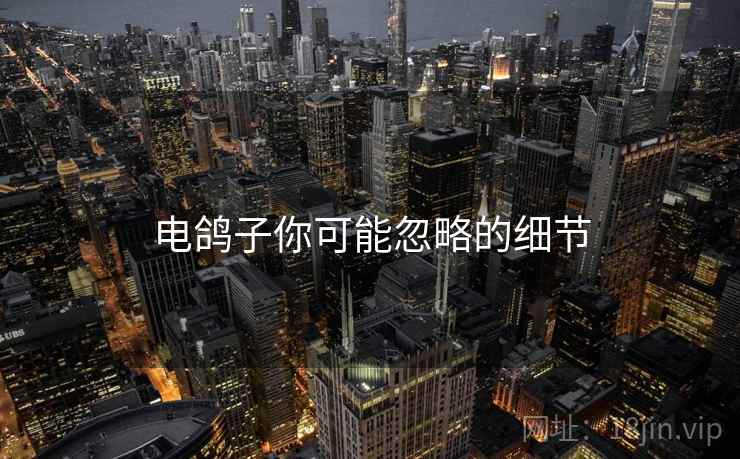 电鸽子你可能忽略的细节