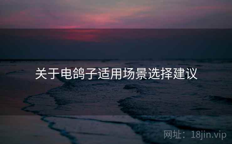 关于电鸽子适用场景选择建议