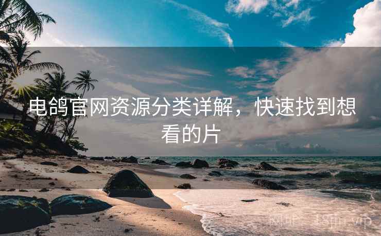 电鸽官网资源分类详解，快速找到想看的片