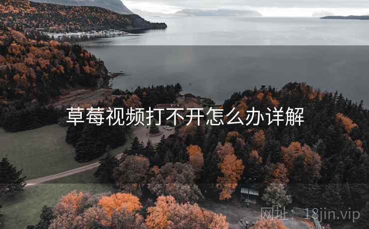 草莓视频打不开怎么办详解