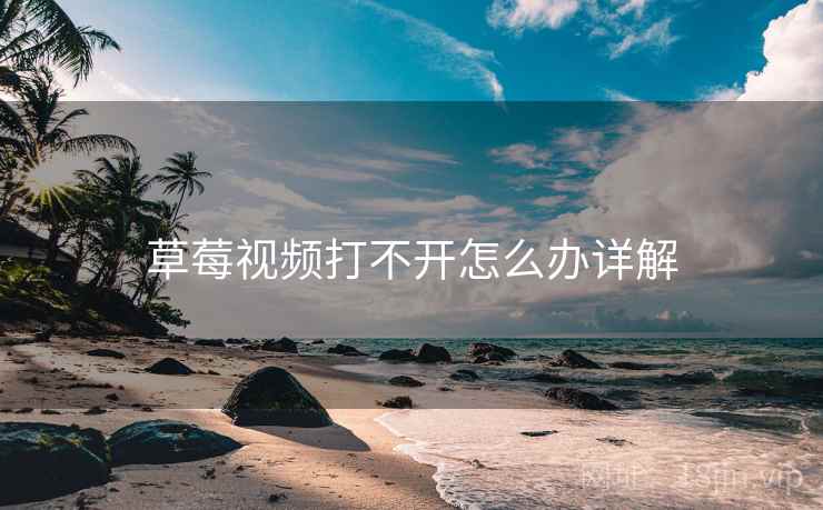 草莓视频打不开怎么办详解
