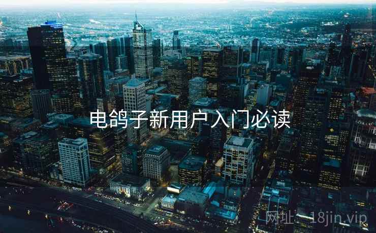 电鸽子新用户入门必读