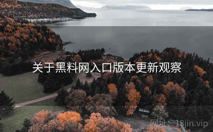 关于黑料网入口版本更新观察