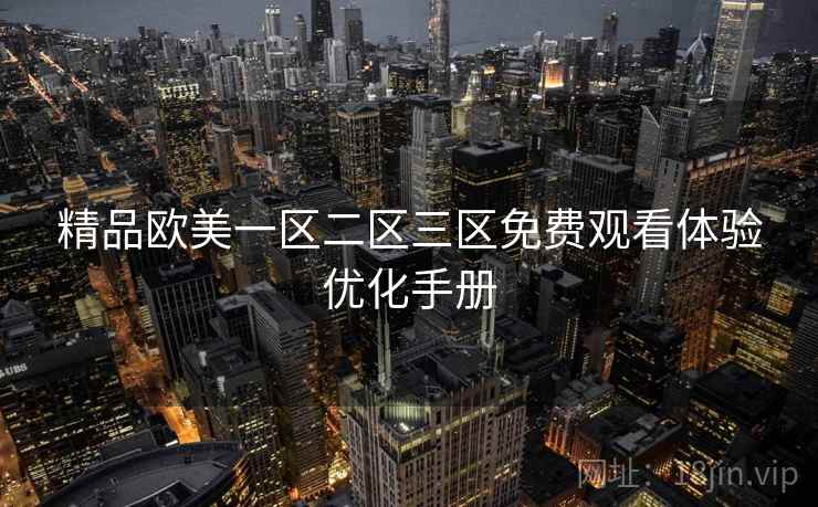 精品欧美一区二区三区免费观看体验优化手册